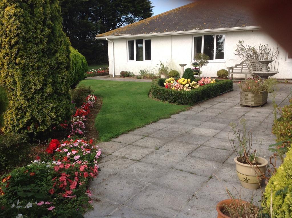 Bed and Breakfast Estuary View Farm Kingsbridge  Esterno foto