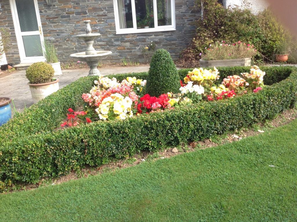 Bed and Breakfast Estuary View Farm Kingsbridge  Camera foto