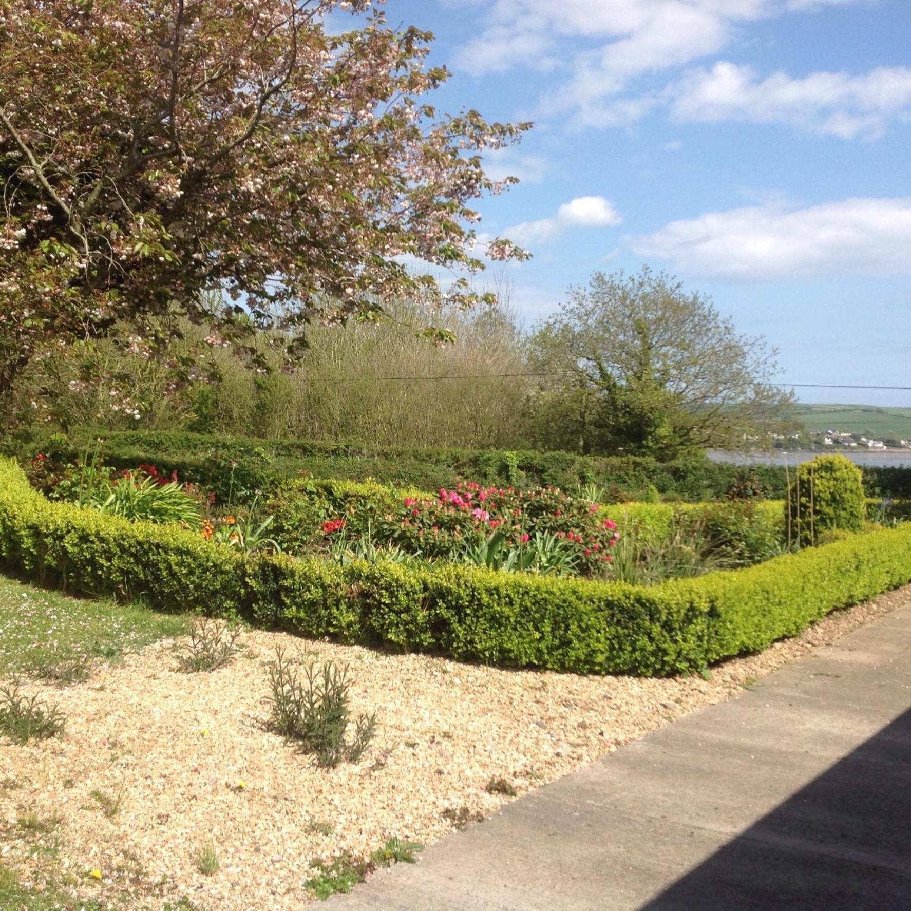 Bed and Breakfast Estuary View Farm Kingsbridge  Esterno foto