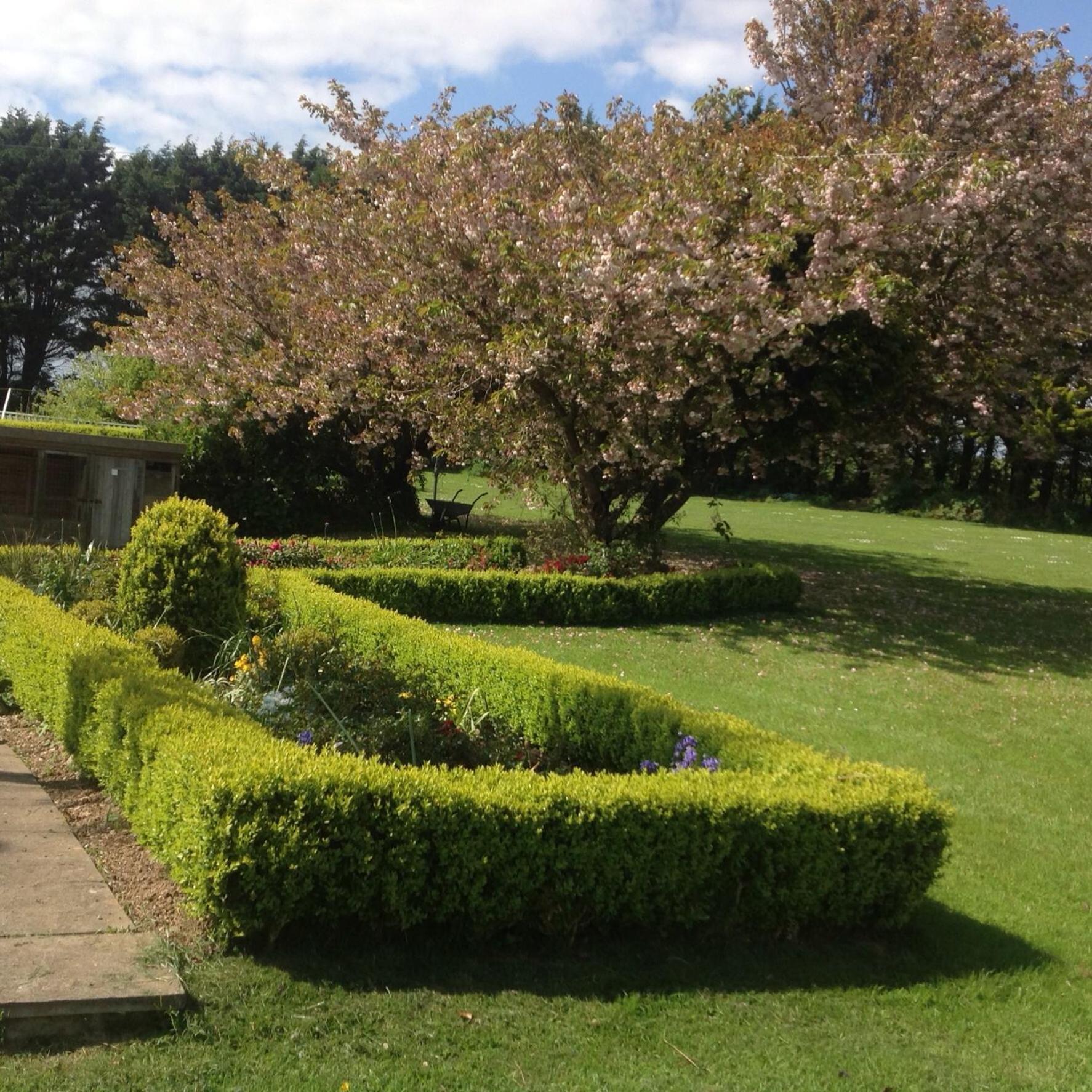 Bed and Breakfast Estuary View Farm Kingsbridge  Esterno foto
