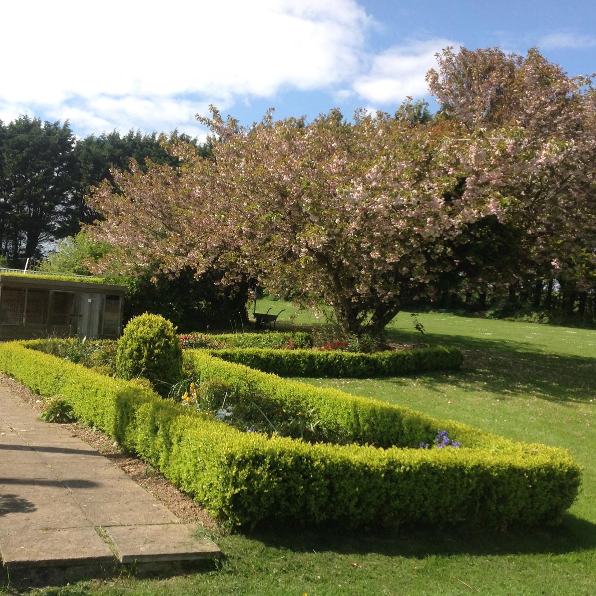 Bed and Breakfast Estuary View Farm Kingsbridge  Esterno foto