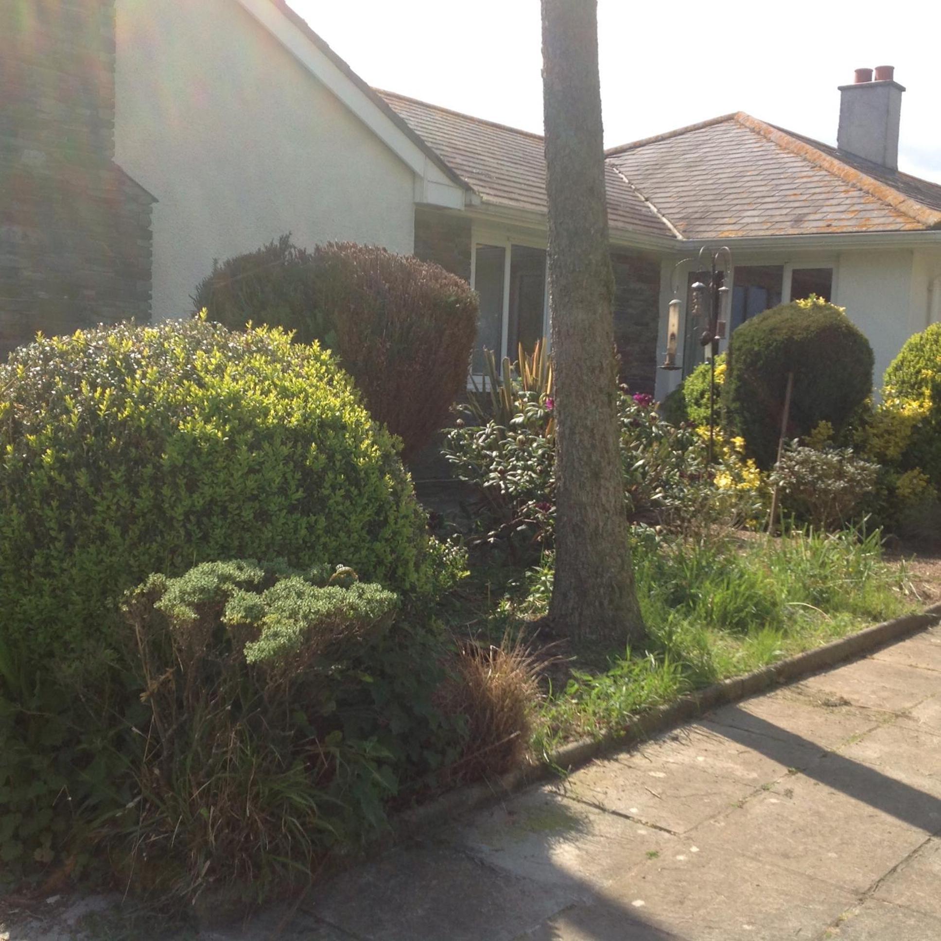 Bed and Breakfast Estuary View Farm Kingsbridge  Esterno foto
