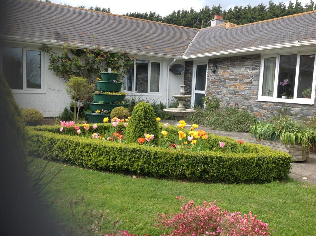 Bed and Breakfast Estuary View Farm Kingsbridge  Esterno foto