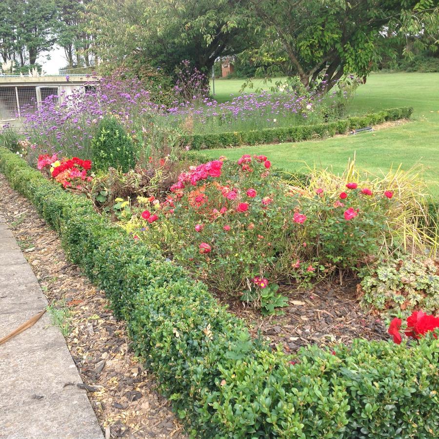 Bed and Breakfast Estuary View Farm Kingsbridge  Esterno foto